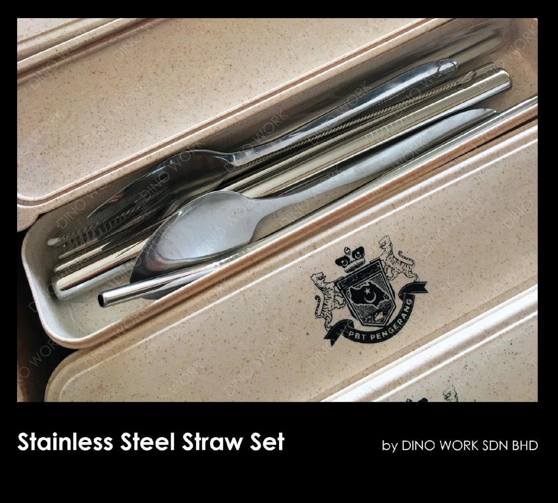 Stainless Steel Straw Set