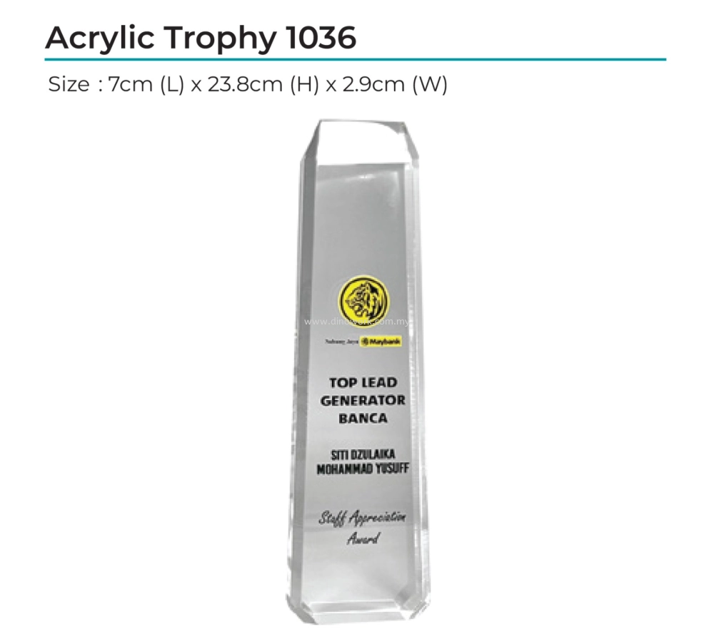 Acrylic Award 1036