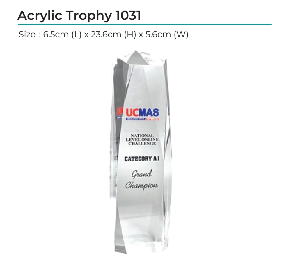 Acrylic Award 1031