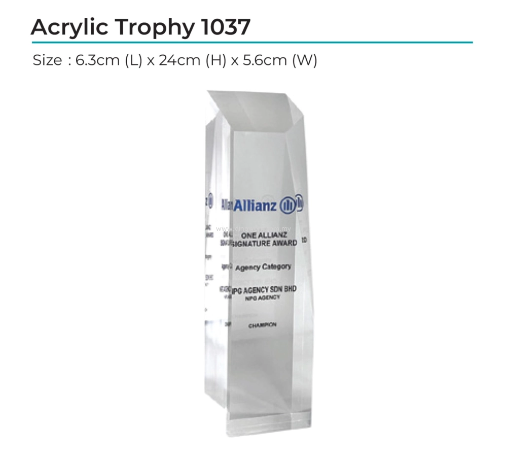 Acrylic Award 1037