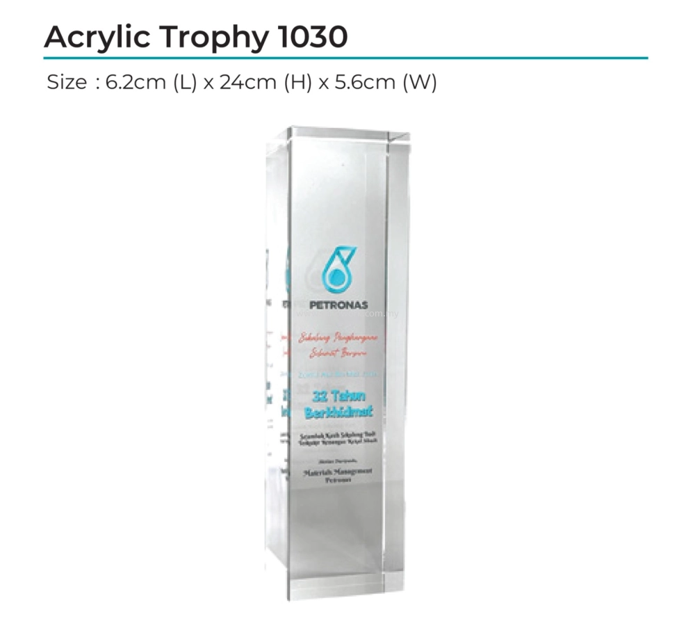 Acrylic Award 1030