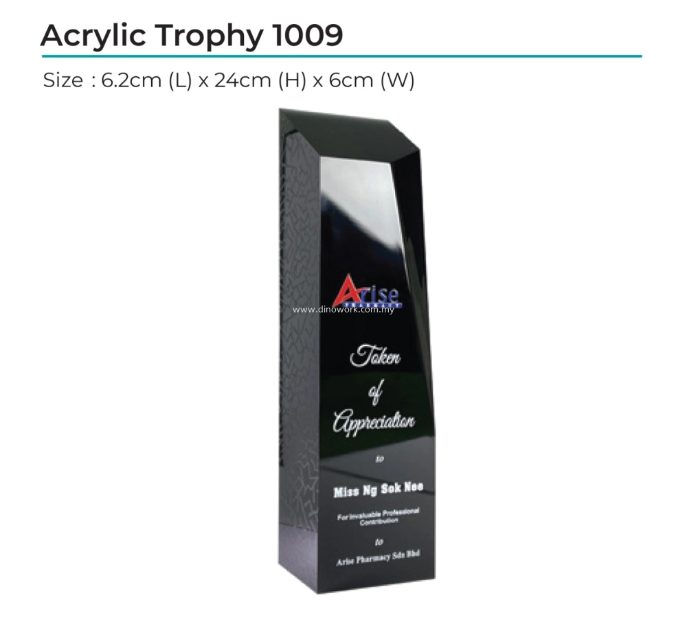 Acrylic Award 1009