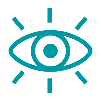 Vision Icon